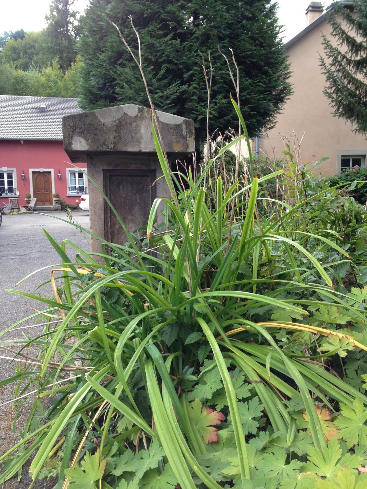 Logis Hotel Domaine Du Moulin Saint-Avold Esterno foto