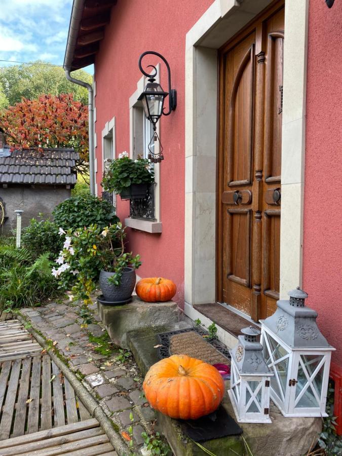 Logis Hotel Domaine Du Moulin Saint-Avold Esterno foto